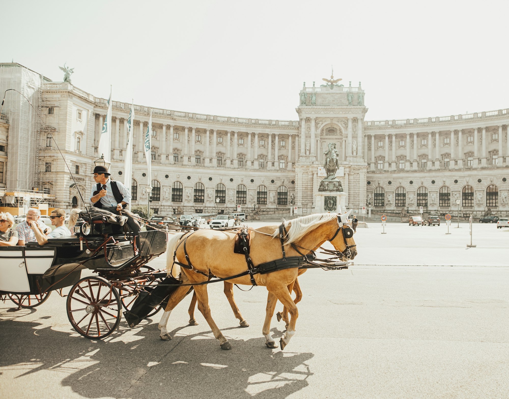 Vienna's finest: exceptional dining at the top-rated best restaurants
